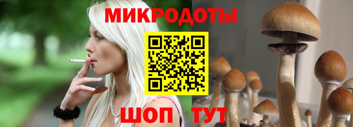 Псилоцибиновые грибы мухоморы Новоалександровск
